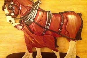 Clydesdale and Colt - Intarsia Woodworking